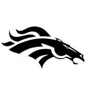 Mustang Youth Football